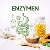 Enzymen