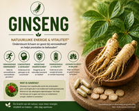 Ginseng