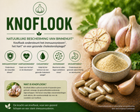 Knoflook