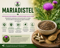 Mariadistel